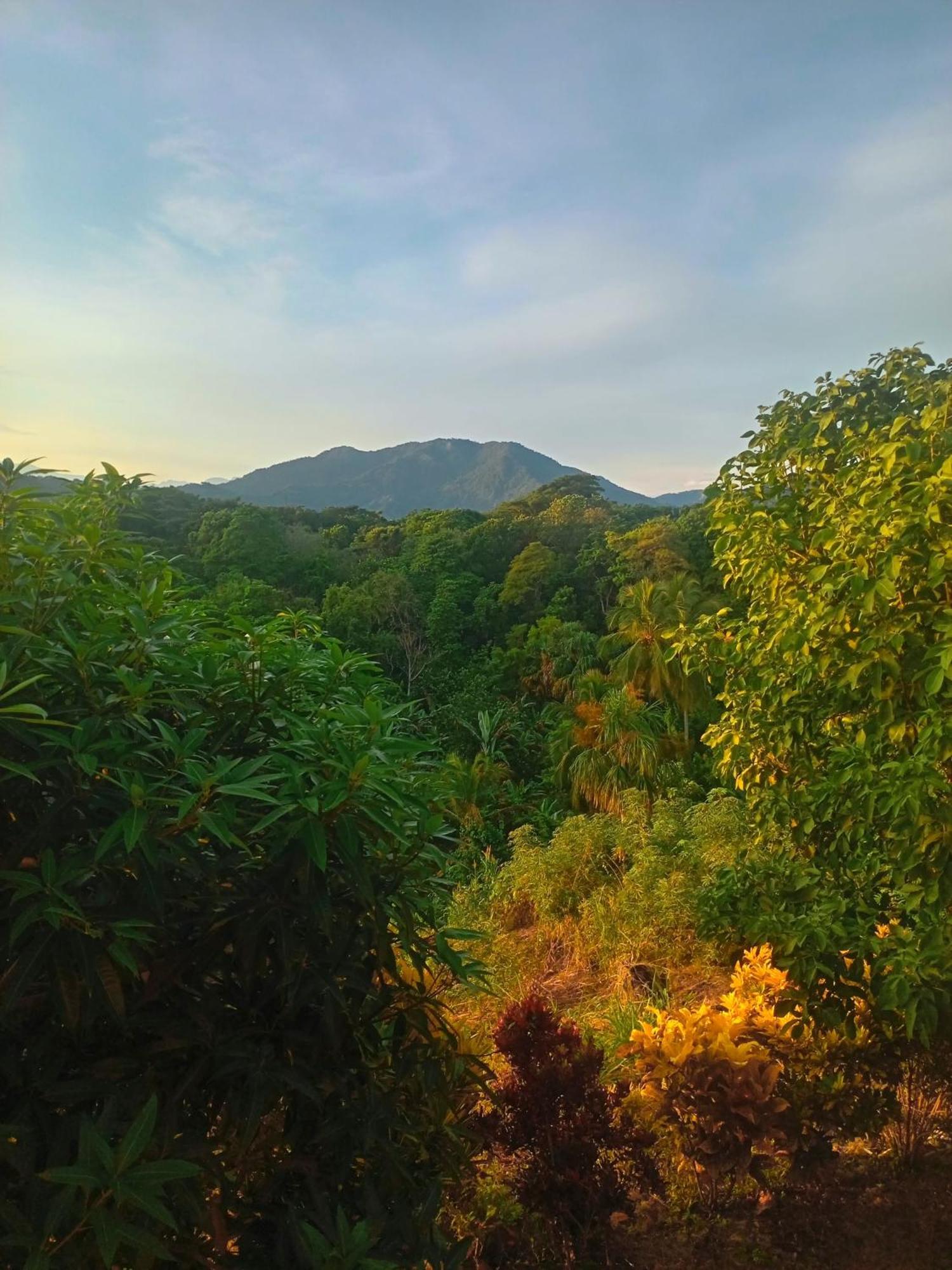 Casa Tolosa Tayrona, Los Cocos La Poza Esterno foto