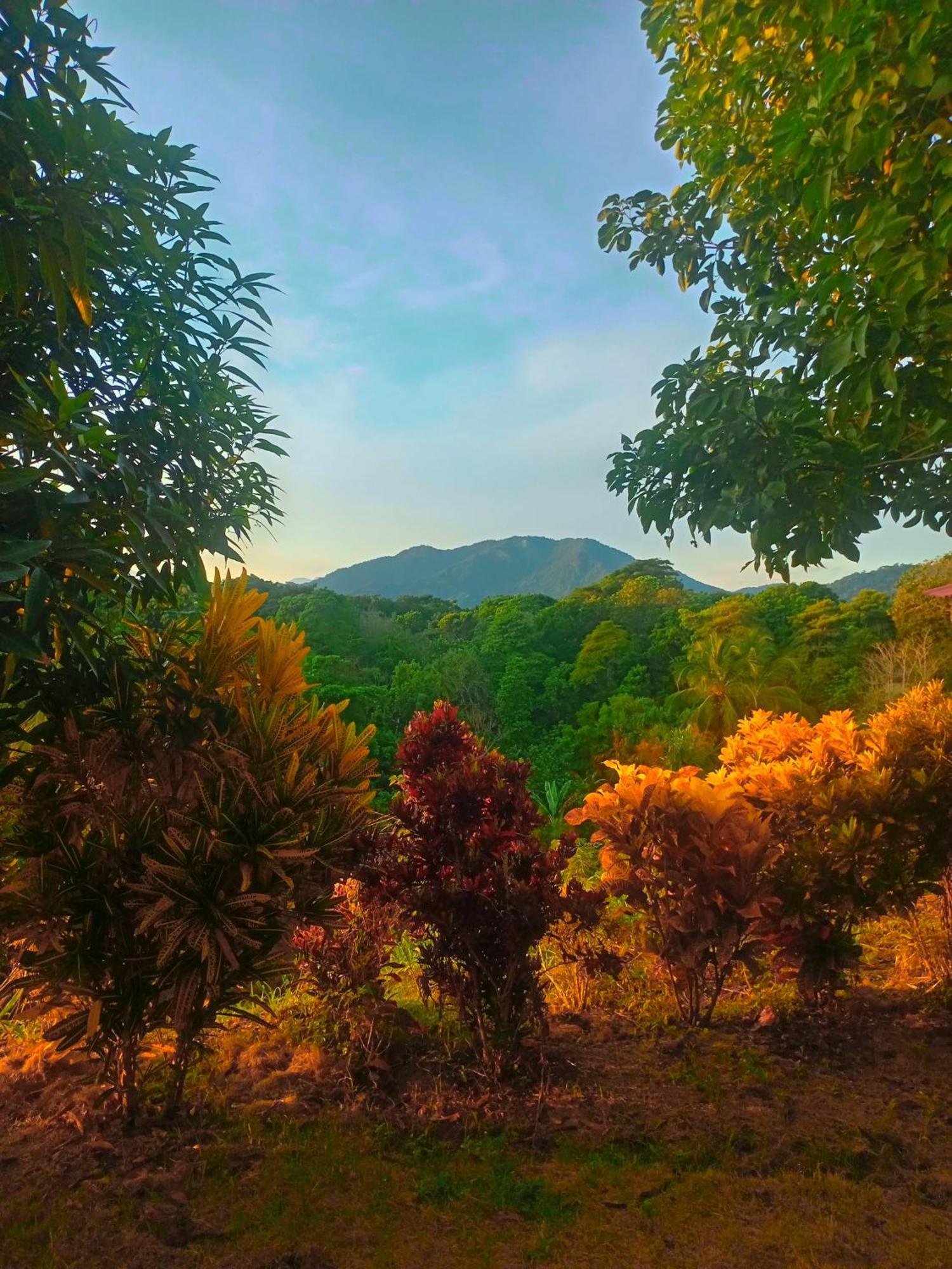 Casa Tolosa Tayrona, Los Cocos La Poza Esterno foto